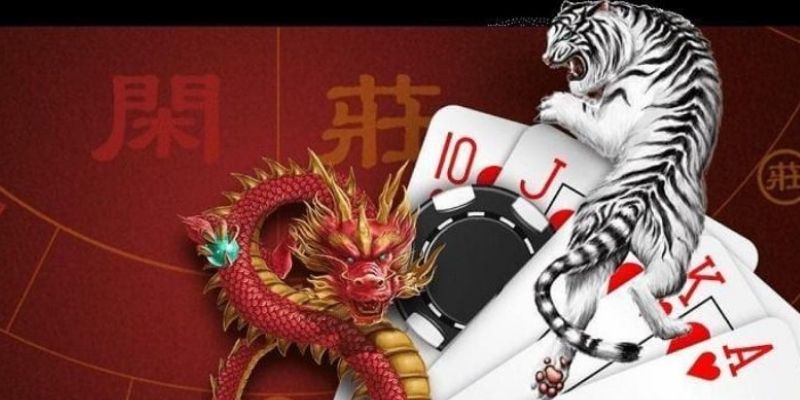 Những loại cược phổ biến trong trò chơi
