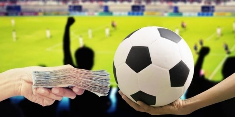 Một số thủ thuật cá độ bóng đá cho người mới bắt đầu